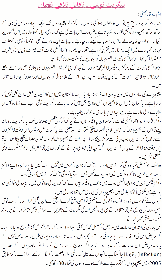 Essay on disadvantages of internet in urdu